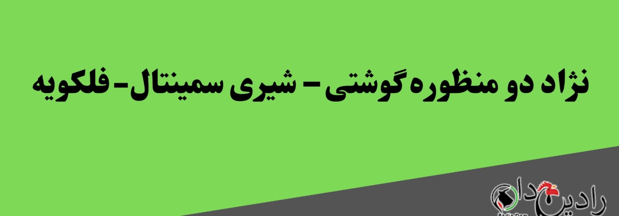 نژاد دو منظوره گوشتی – شیری سمینتال-فلکویه (Fleckvieh-Simmental)