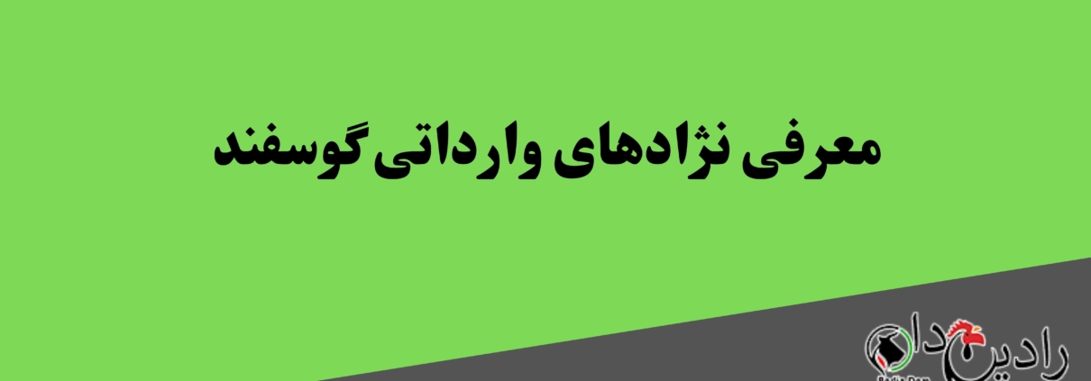 معرفی نژادهای وارداتی گوسفند