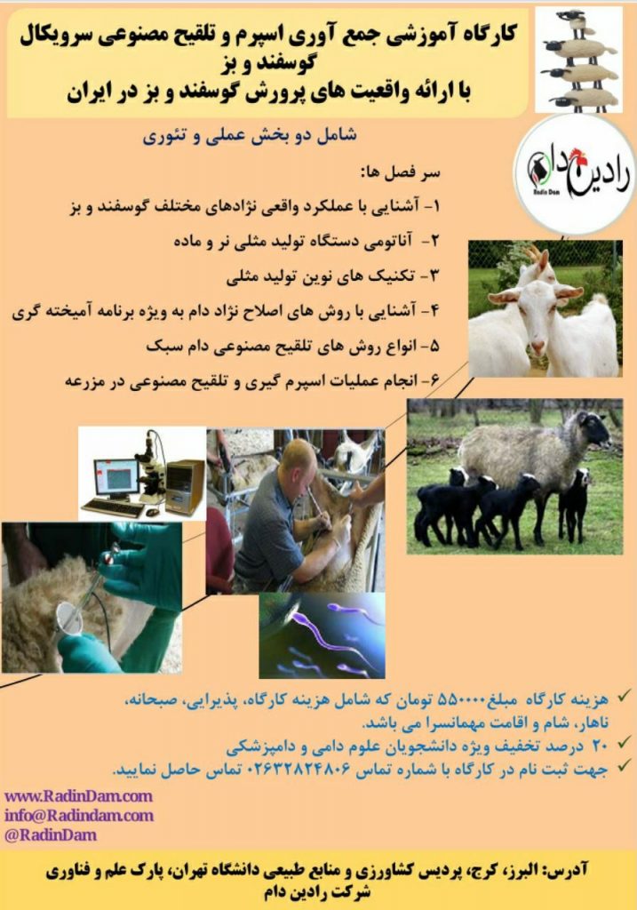 کارگاه آموزشی جمع آوری اسپرم و تلقیح مصنوعی سرویکال گوسفند و بز با ارائه واقعیت های پرورش گوسفند و بز در ایران