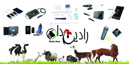 IMG 20250726 WA0017