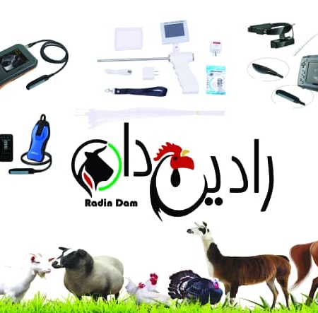 IMG 20250726 WA0017